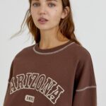 Brown Arizona Sweatshirt - Image 3